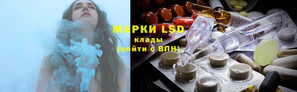 PSILOCYBIN Белокуриха