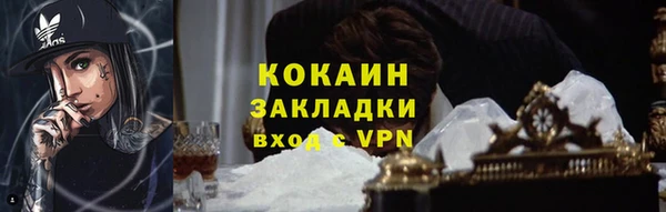 PSILOCYBIN Белокуриха