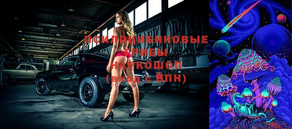 эйфоретик Беломорск