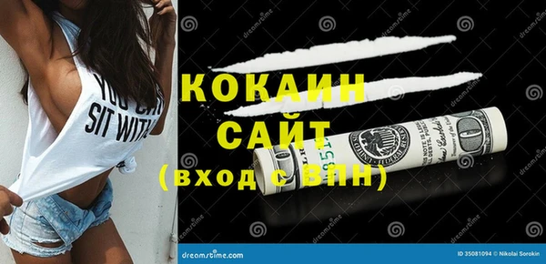 PSILOCYBIN Белокуриха