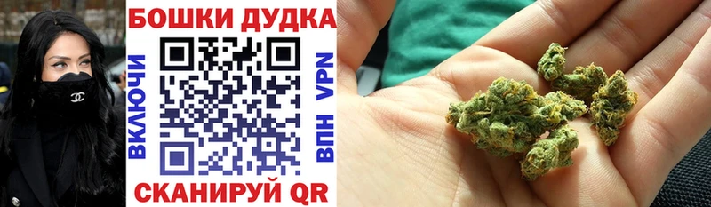 Бошки Шишки гибрид  Ворсма 